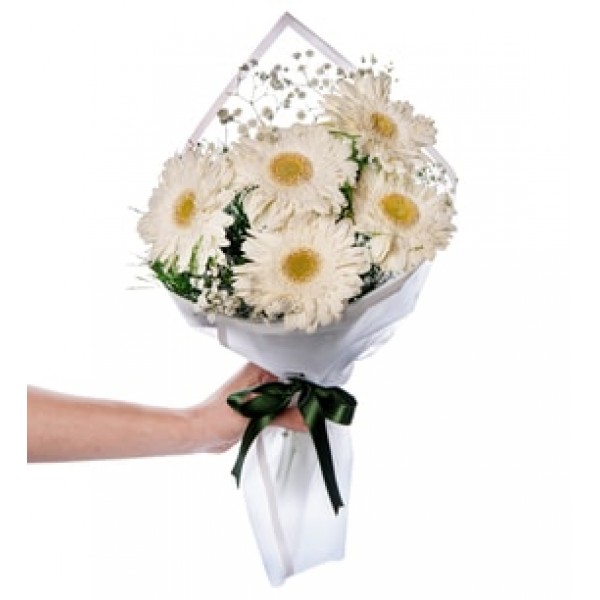 7 beyaz gerbera buketi